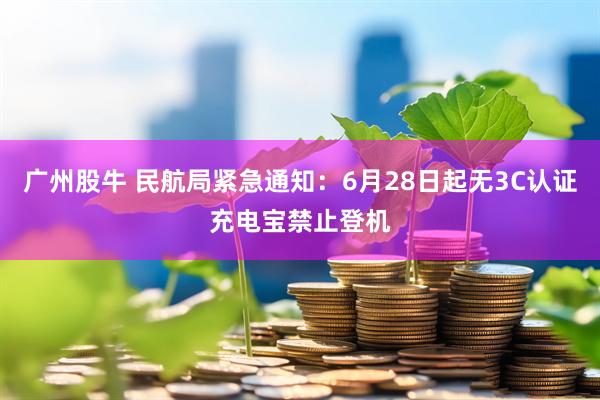 广州股牛 民航局紧急通知：6月28日起无3C认证充电宝禁止登机