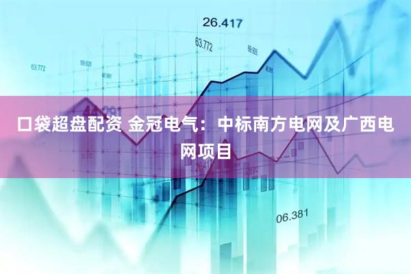 口袋超盘配资 金冠电气：中标南方电网及广西电网项目