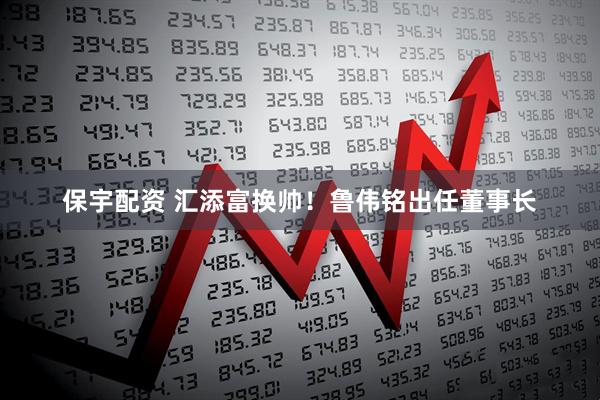 保宇配资 汇添富换帅！鲁伟铭出任董事长